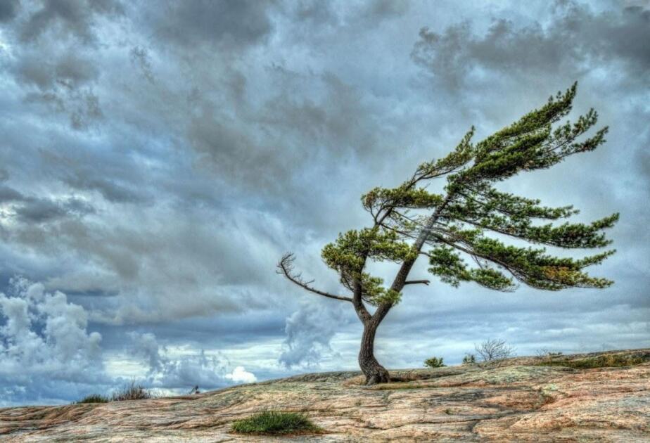 K&uuml;ləkli hava şəraiti ilə bağlı sarı və narıncı XƏBƏRDARLIQ