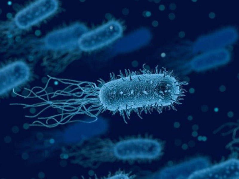 Süni intellekt bakteriyaları öldürən viruslar yaratdı  Tibbdə yeni dövr başlayır