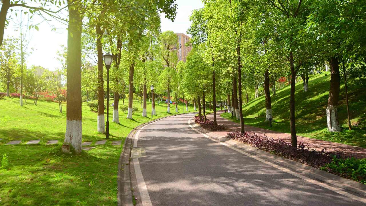 Bakının bu ərazisində nəhəng park salınır