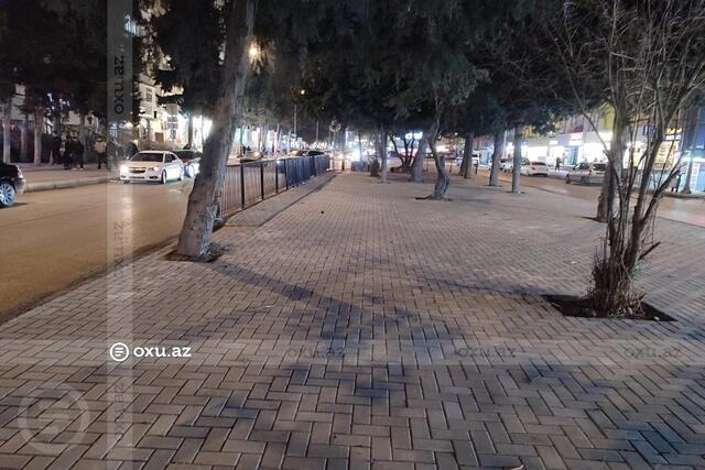 Əhmədlidə tikintiyə icazə verilməyən ərazidə ağaclar kəsildi, yerinə daş d&ouml;şəndi 