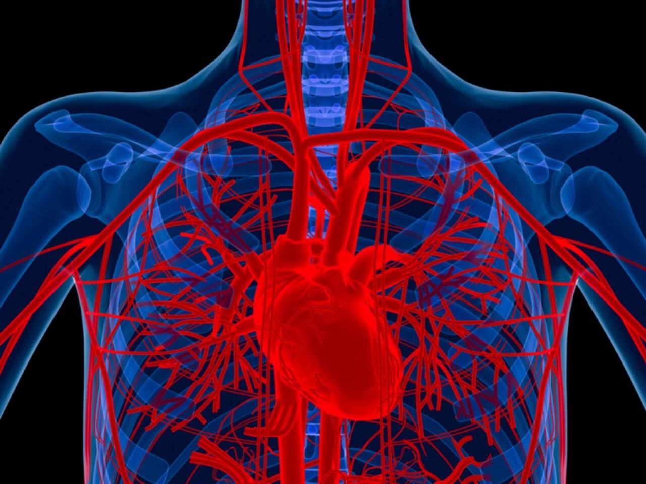 Alimlər xəstənin öz hüceyrələrindən damar hazırladı