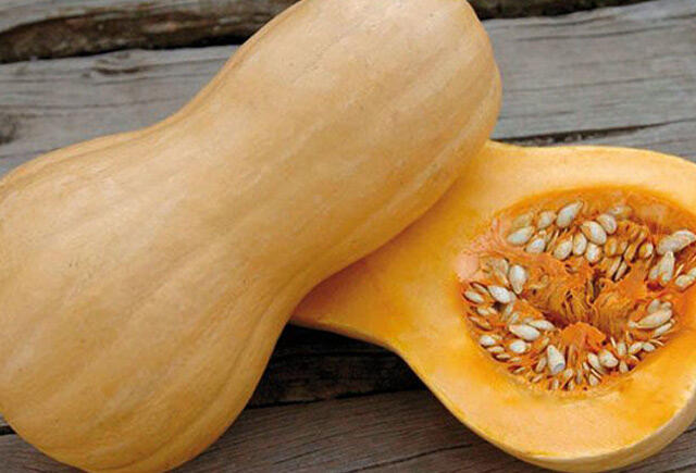 Teztez boranı yeməyin orqanizmə 5 faydası