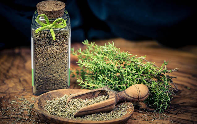 Kəklikotunun FAYDALARI