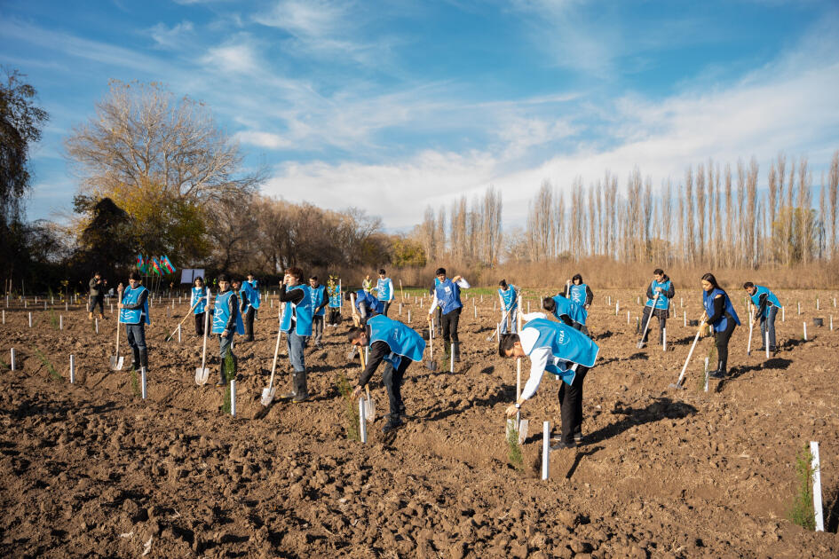 IDEA Sabirabad və Cəlilabad rayonlarında k&uuml;tləvi ağacəkmə aksiyaları təşkil edib 