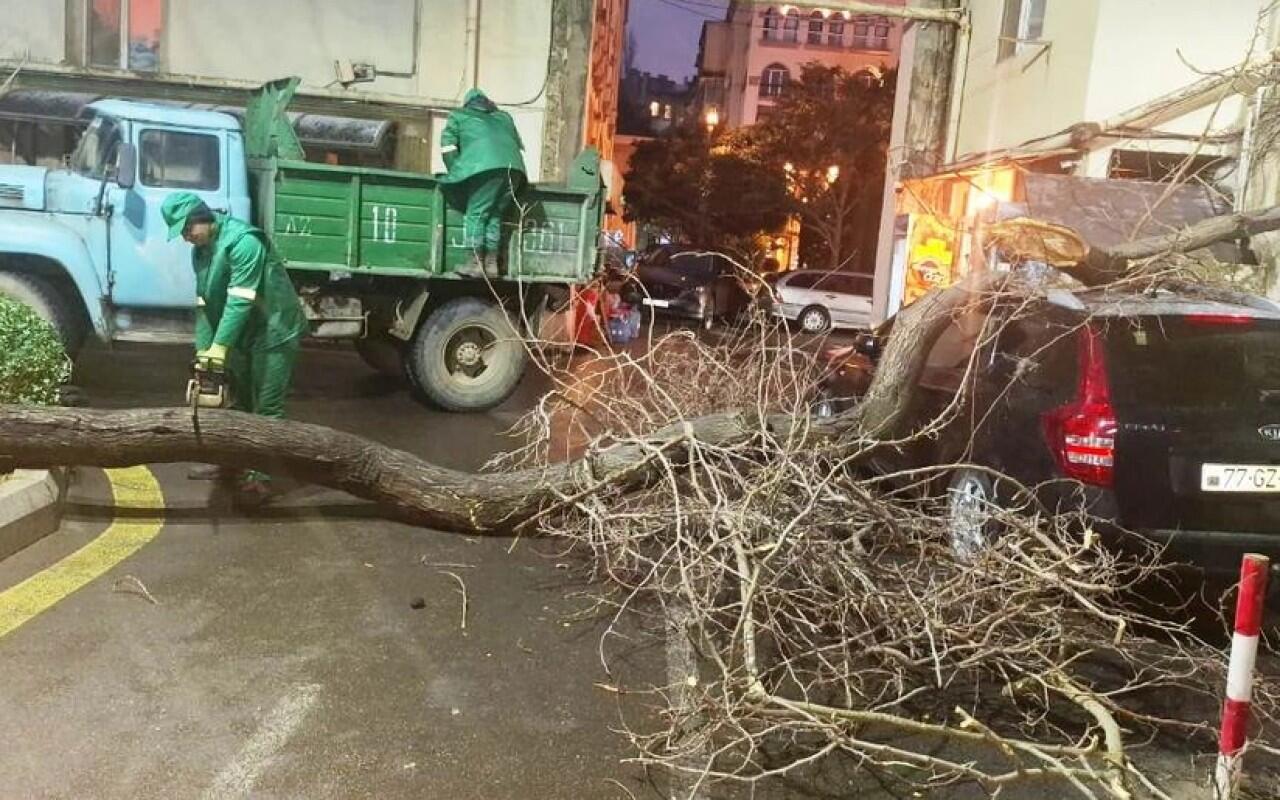 Bakıda davam edən g&uuml;cl&uuml; k&uuml;lək hansı fəsadlara yol a&ccedil;ıb?