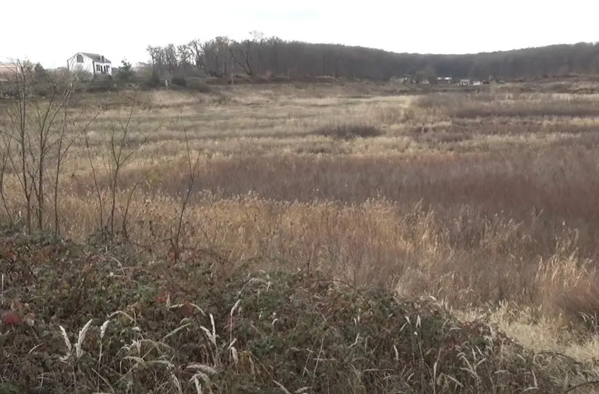 670 minə bataqlığı g&ouml;l edəcəklər