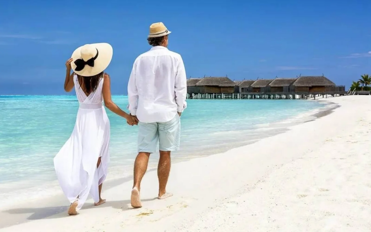 "Bal ayı"nı korlayan 1 nömrəli SƏHV