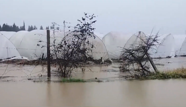 Cəlilabadda intensiv yağışlar ciddi fəsadlara yol a&ccedil;ıb