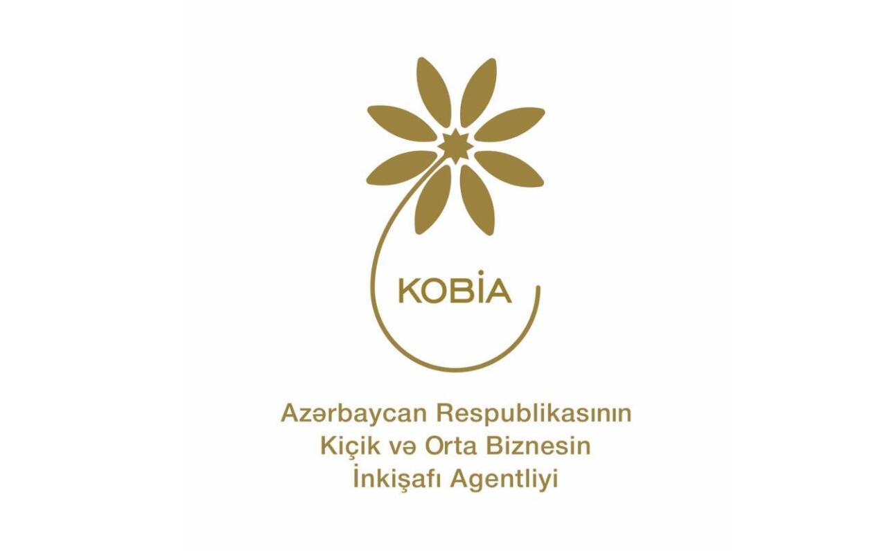Regionlarda sahibkarlıq fəaliyyəti üçün imkanlar: KOB evləri, KOB dostları, KOB inkişaf mərkəzləri 