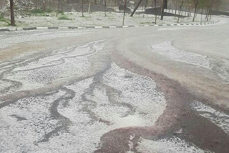 Tərtərdə dolu kənd təsərrüfatına ciddi ziyan vurdu 
