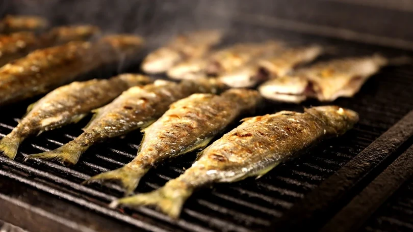 Hansı balıqda sümük daha azdır?  Tanınmış növlər