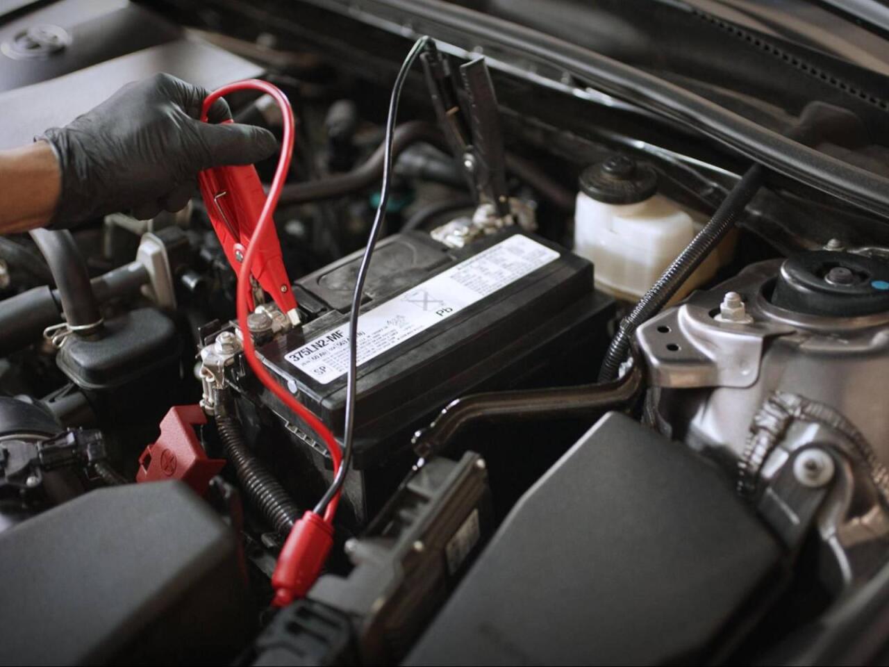 Sizi yolda qoya biləcək səhvlər