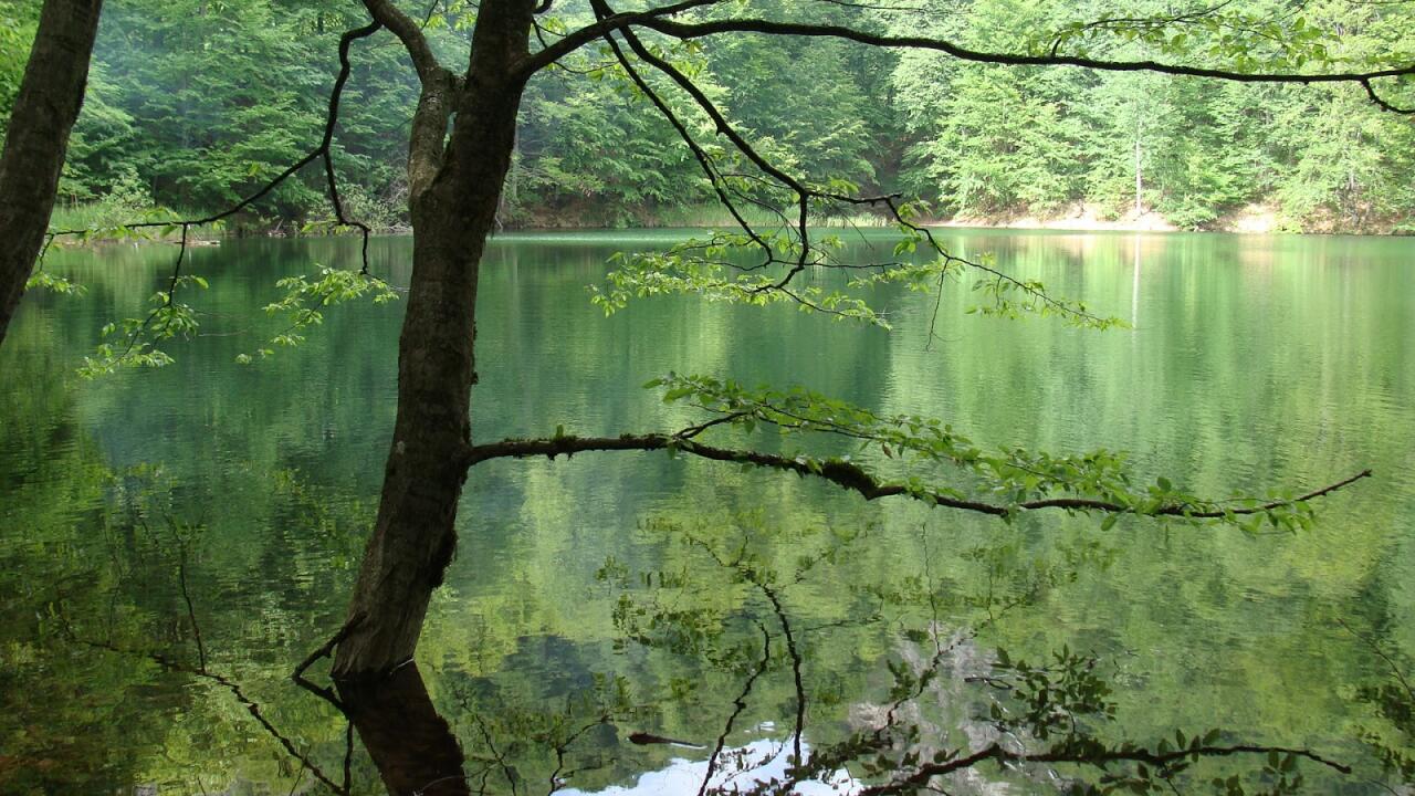 Canlı yayımda itkin düşən qızın meyitini TAPDI 