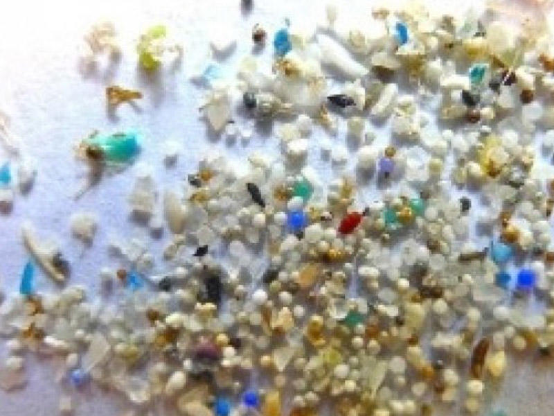 Mikroplastiklər həzm sistemi vasitəsilə qana qarışır, sümüklərdə yığılır 