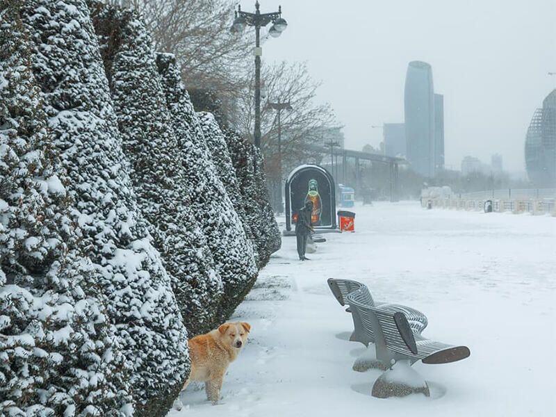 Fevral ayı ilə bağlı xəbərdarlıq: Kəskin soyuqlar d&uuml;şəcək, şaxta olacaq, qar yağacaq
