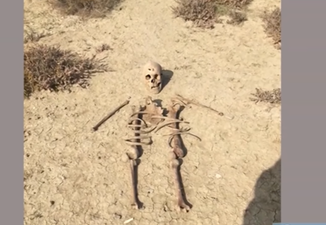 Mikayıl M&uuml;şfiqlə bağlı 6 il sonra DNT nəticəsi a&ccedil;ıqlandı