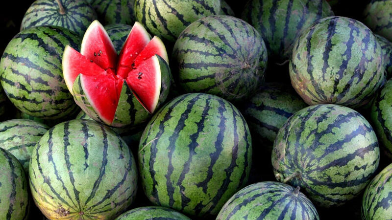 Süni şəkildə yetişdirilən qarpızı necə tanıyaq?  Ekspert AÇIQLADI