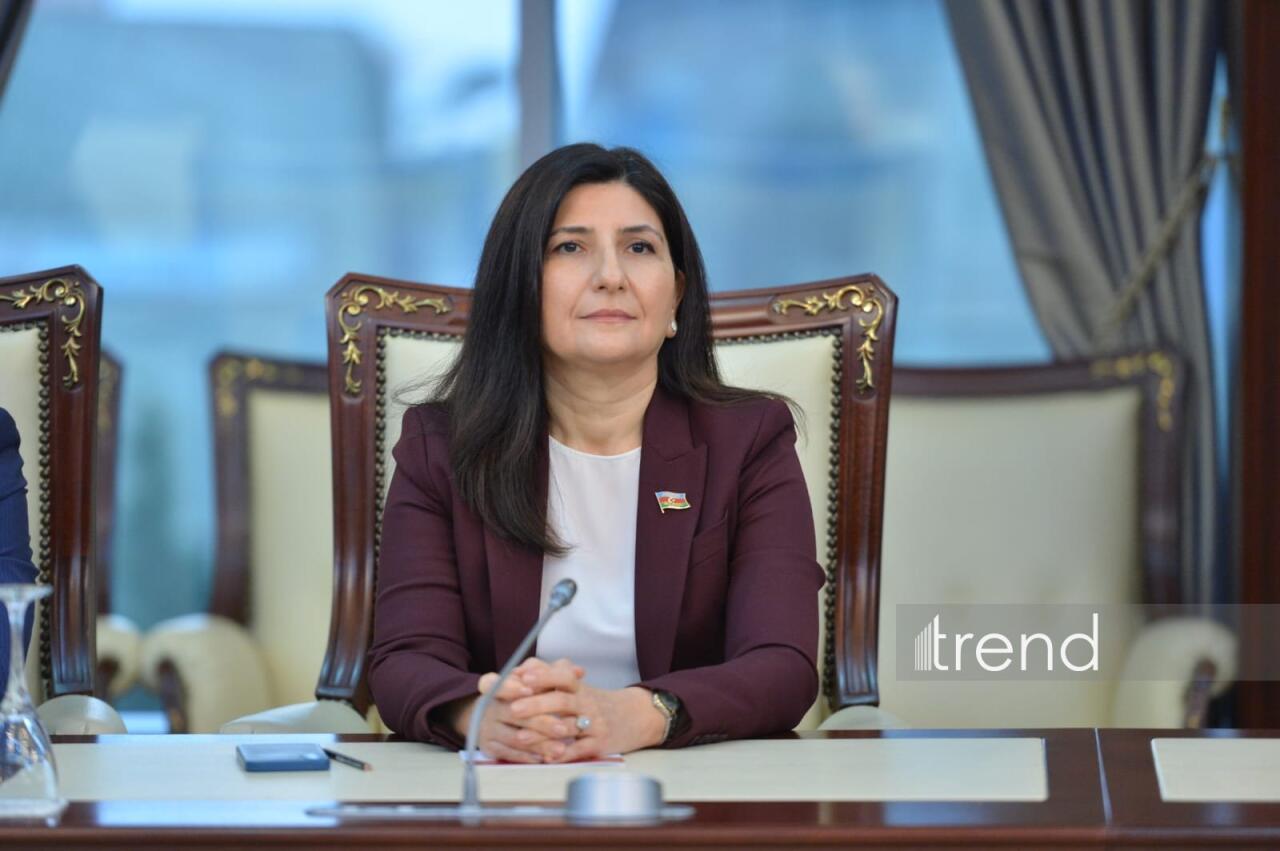 Vaşinqtondakı təxribat cəhdi məqsədli idi  Sevil Mikayılova