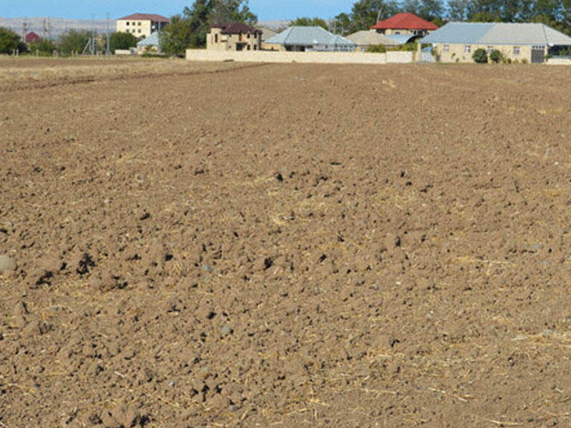 Torpaq sahiblərinin diqqətinə: Yenilik tətbiq ediləcək 