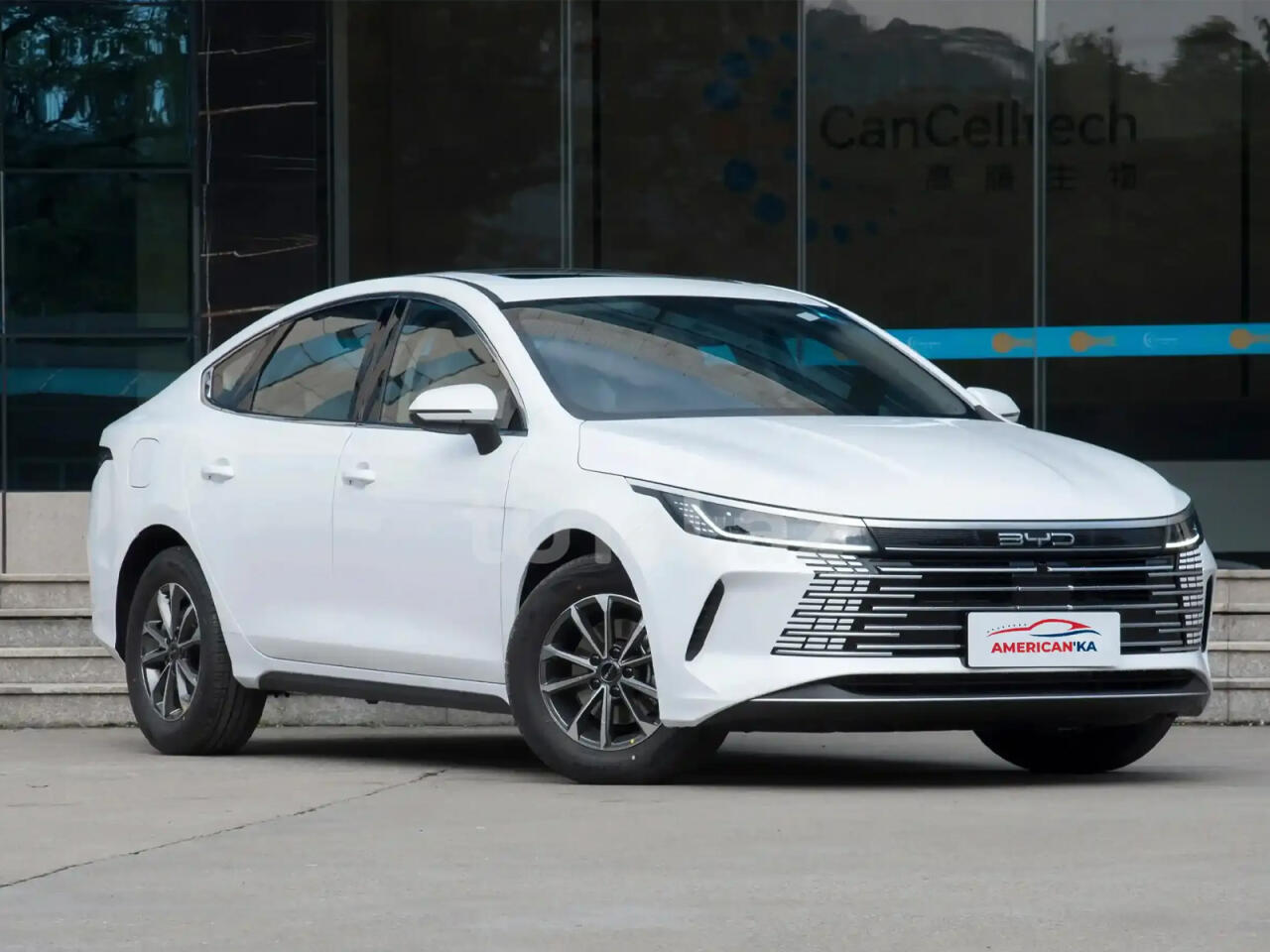 &ldquo;BYD Motors Baku&rdquo; borca d&uuml;şd&uuml;