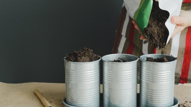 Nə bağ, nə də torpaq tələb etmir: Bir dəfə ək, il boyu məhsul yığ