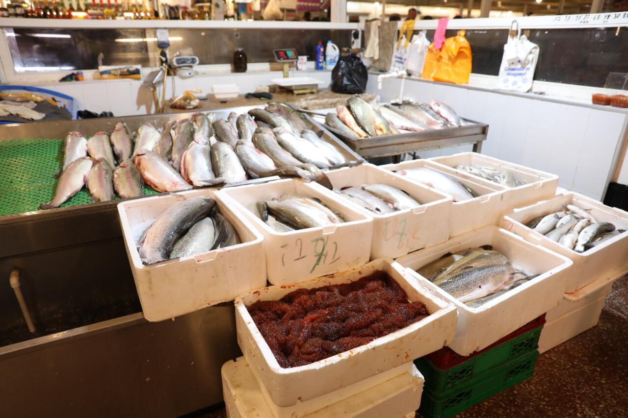 “NəzrinE” MMCdə ciddi nöqsanlar aşkarlanıb