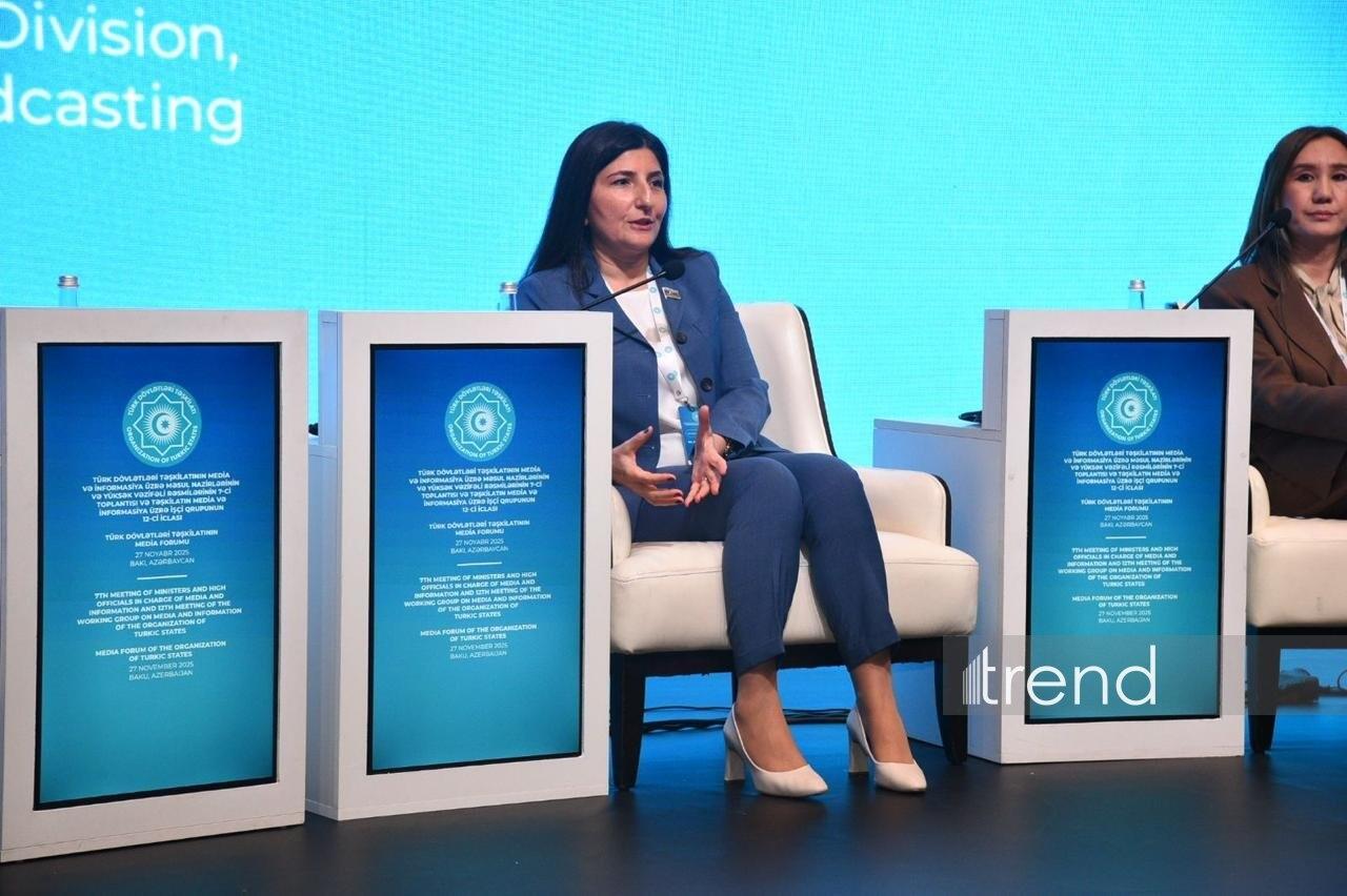 Trend və DHA agentlikləri süni intellekt əsaslı rəqəmsal platformaya TDT və D8 ölkələrinin mediasını dəvət edir  Sevil Mikayılova