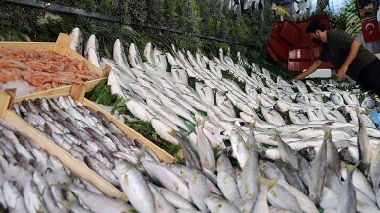 Noyabrın faydalı balıqları məlum oldu