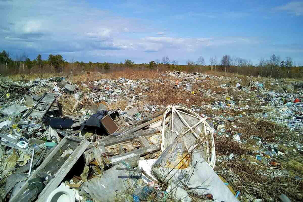 Daha 2 meyit tapıldı  bu dəfə zibillikdən 