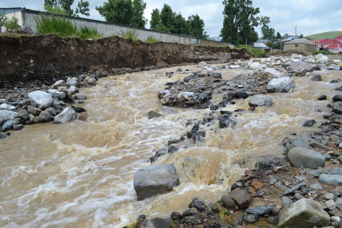 Arıçılıq təsərrüfatını SEL APARDI 