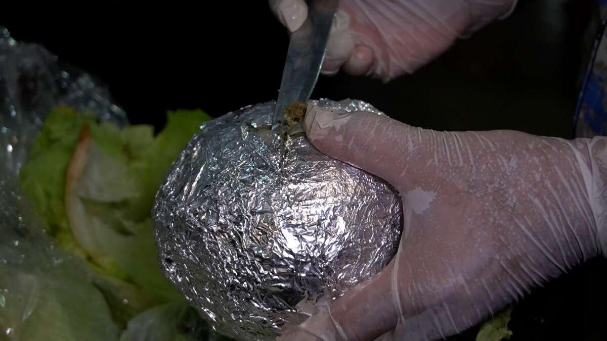 Marixuana satan universitet professoru yaxalandı