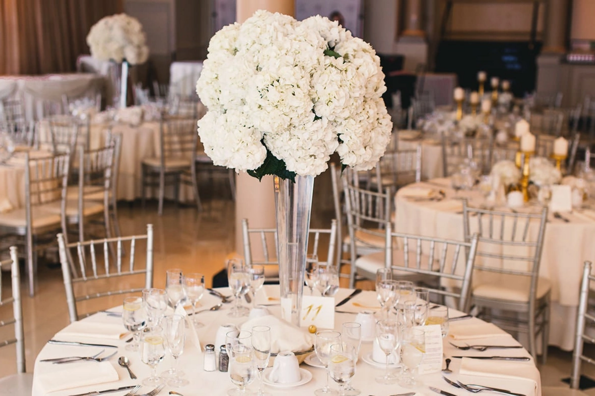 Azərbaycanda məşhur m&uuml;ğənninin restoran biznesi &ccedil;&ouml;kd&uuml;