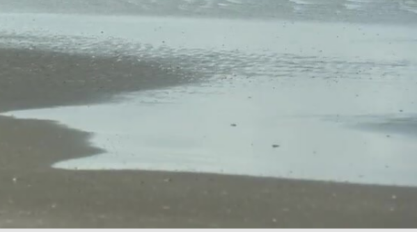 Xəzərin məyus edən görüntüləri  axırı necə olaacq? 