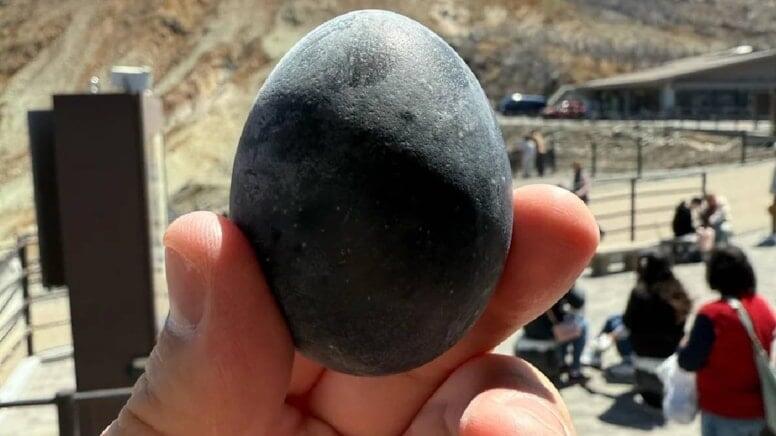 Kömür kimi qara yumurtalar qızıldan da dəyərlidir: 195 manata satılır 