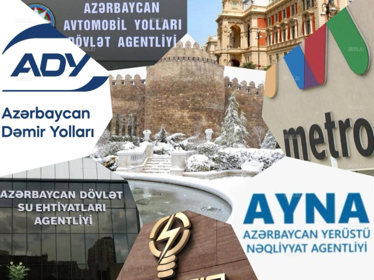 Qurumlar qışa necə hazırlaşır?  A&ccedil;ıqlama