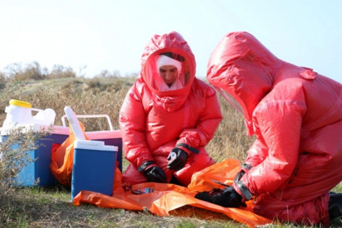 Azərbaycanda Nyukasl xəstəliyinə yoluxma halı aşkarlanıb?  RƏSMİ