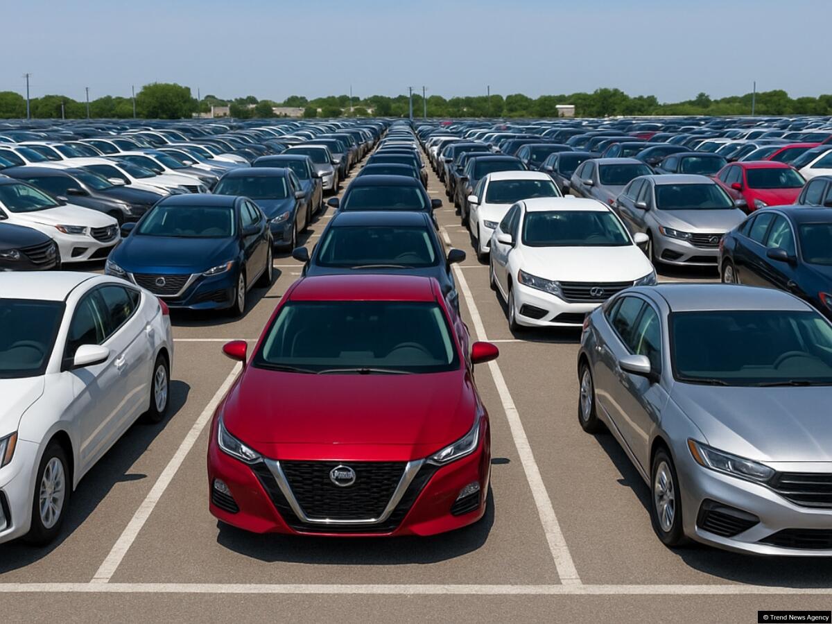 Elektrik m&uuml;hərrikli avtomobillərin ƏDVyə cəlb edilməsi bazara necə təsir g&ouml;stərəcək?