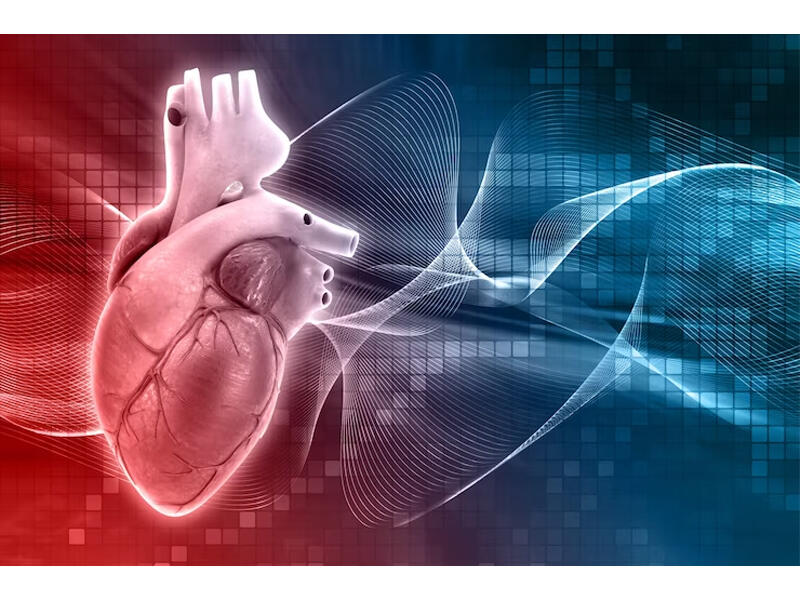 3 min insanın nə yeyibi&ccedil;diyini illərlə izlədilər  &Uuml;rəyi yormayan qidalar a&ccedil;ıqlandı