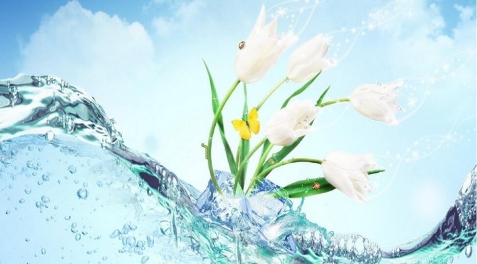 Bu g&uuml;n Novruzun ilk &ccedil;ərşənbəsidir