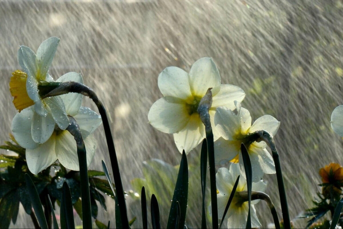 Yağış, dolu və sulu qar yağacaq  bu tarixdə  XƏBƏRDARLIQ