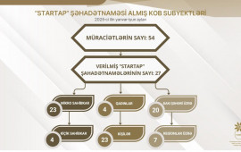 2025ci ildə “Startap” şəhadətnaməsi almış KOB subyektlərinin əksəriyyəti mikro sahibkarlardır