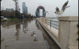 Sabah Bakıda duman olacaq, yağış yağacaq
