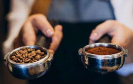 Araşdırma: Qəhvə və &ccedil;ay beyni demansa qarşı qoruya bilər