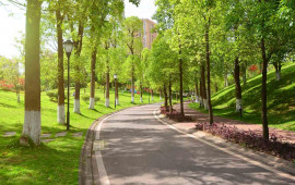 Bakının bu ərazisində nəhəng park salınır