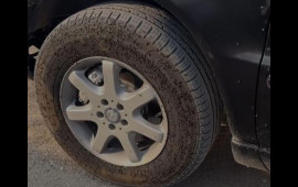 Bakıda "Milçək yağışı"  VİDEO