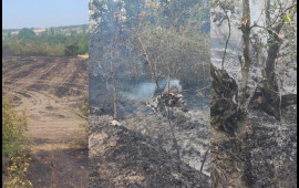 Qubada yanğın törədənlərdən biri həbs olundu, ikisi cərimələndi  FOTO