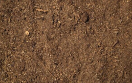 Elm d&uuml;nyasında inqilab: Saniyədə 1000 dəfə d&ouml;nərək elektrik istehsal edən canlı tapıldı