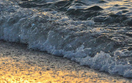 Xəzərdə balıqlar niyə azalır?  A&Ccedil;IQLAMA