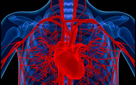 Alimlər xəstənin öz hüceyrələrindən damar hazırladı