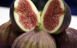 Əncirə əlavə edib yeyin  Qaraciyəri təmizləyir, orqanizmi yeniləyir